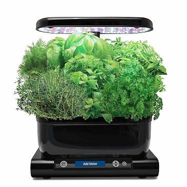 AeroGarden Harvest with Gourmet Herb Seed Pod Kit