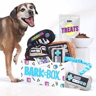 BarkBox Supersized 90s Throwback Electronic Dog Toy Bundle