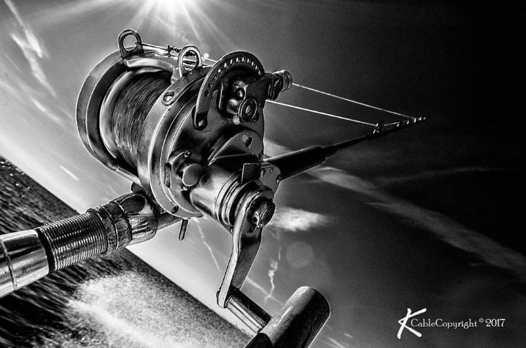 photography_art_4447