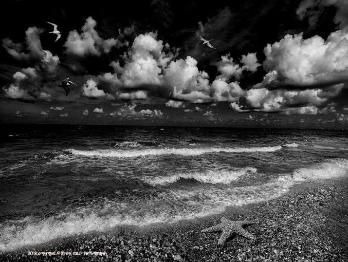 photography_art_starfish