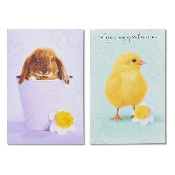 American Greetings Easter Card for Kids Bunny and Chick