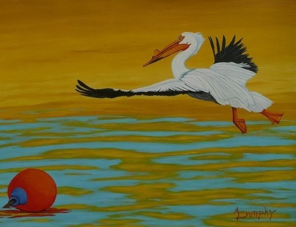 Takeoff at dawn white pelican takes off at dawn