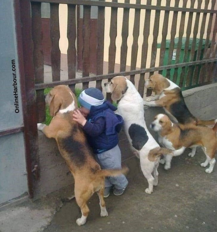 Kid and dog friends_OnlineHarbour