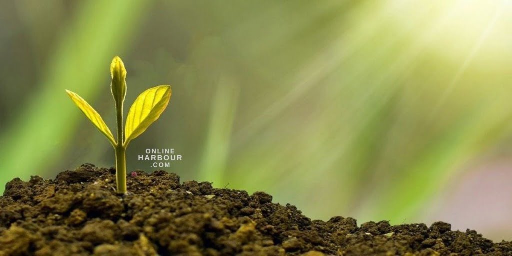 OnlineHarbour_Definition of word Life OnlineHarbour_Definition of word Life