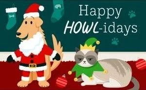 Christmas Gift Card Christmas Gift Card