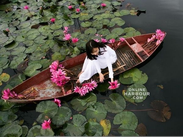 Boat lagoon woman flowers roses_Online Harbour